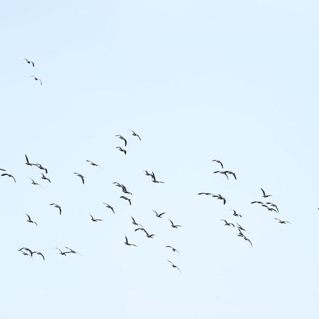 Three Little Birds Hotel Tangalle Bagian luar foto