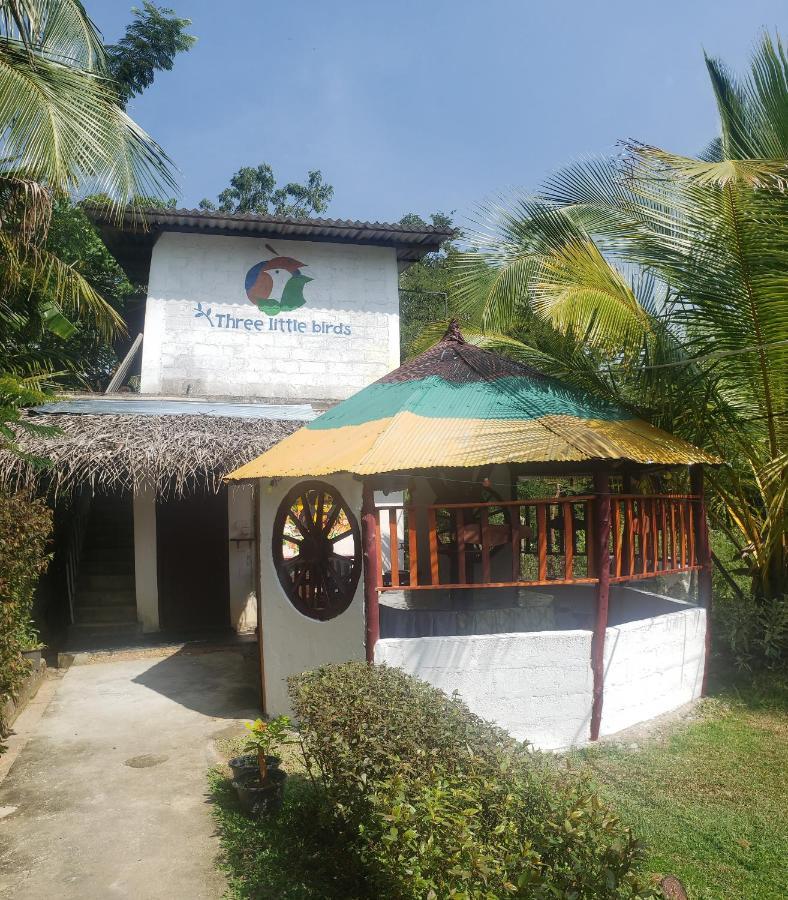 Three Little Birds Hotel Tangalle Bagian luar foto