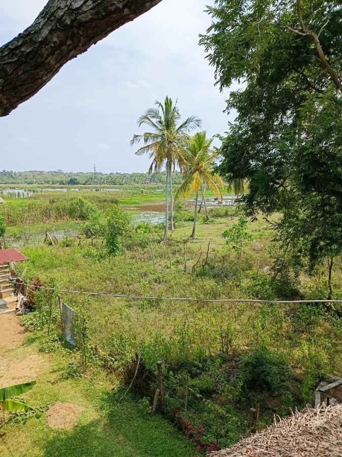 Three Little Birds Hotel Tangalle Bagian luar foto
