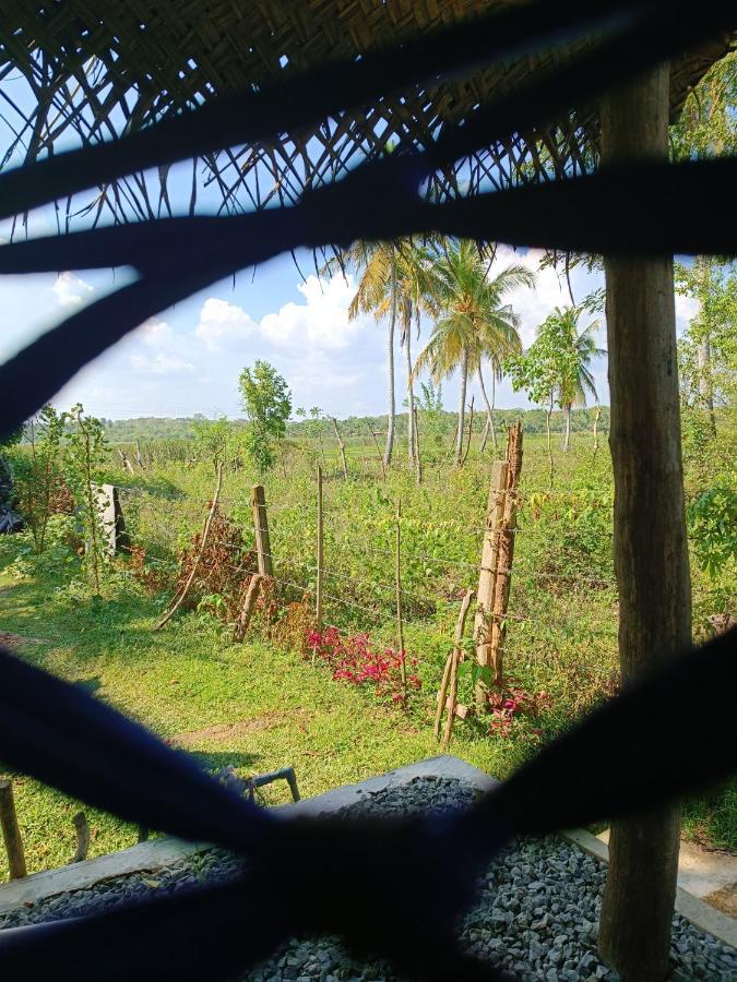 Three Little Birds Hotel Tangalle Bagian luar foto