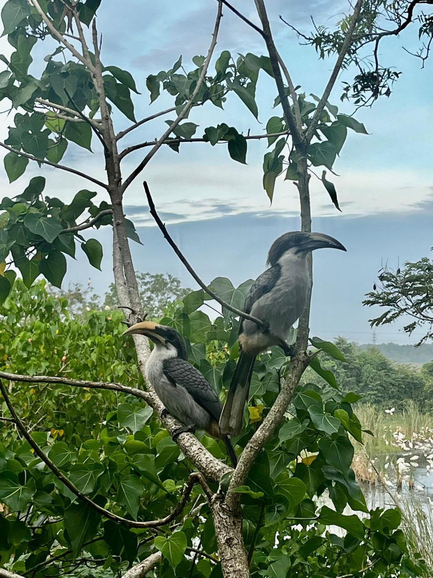 Three Little Birds Hotel Tangalle Bagian luar foto