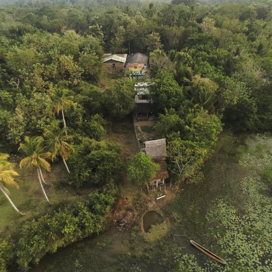 Three Little Birds Hotel Tangalle Bagian luar foto